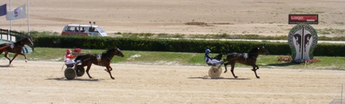 Race 4 confirmed result
