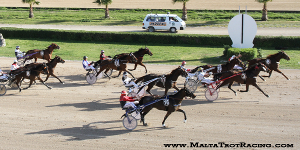Race 7 confirmed result