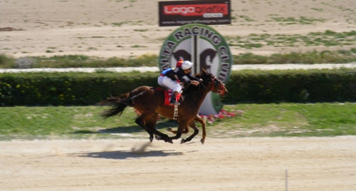 Race 5 confirmed result