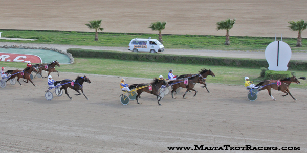 Race 5 confirmed result