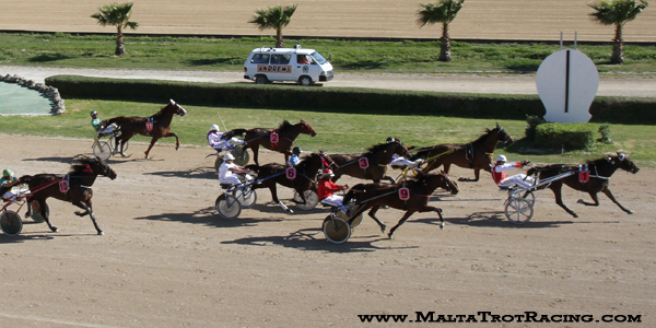Race 5 confirmed result