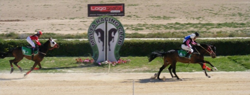 Race 7 confirmed result