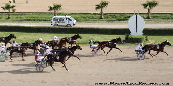 Race 7 confirmed result