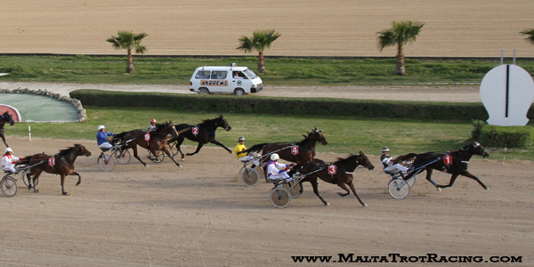 Race 8 confirmed result