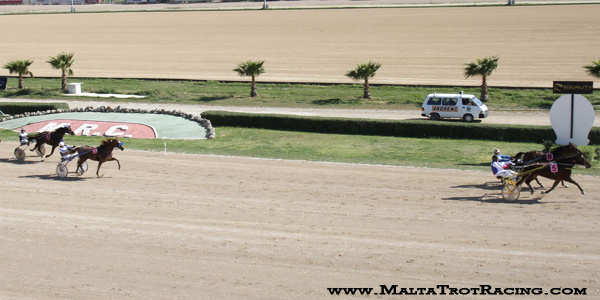 Race 5 confirmed result