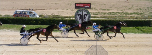 Race 8 confirmed result