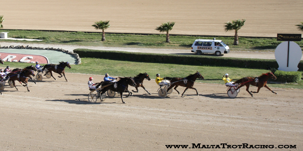 Race 7 confirmed result