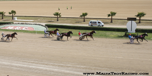 Race 5 confirmed result