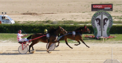 Race 9 confirmed result