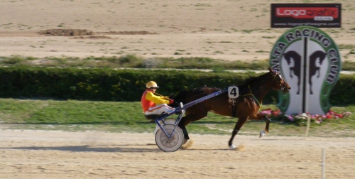 Race 10 confirmed result