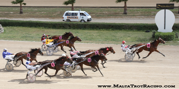 Race 5 confirmed result