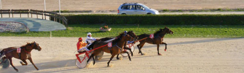 Race 8 confirmed result