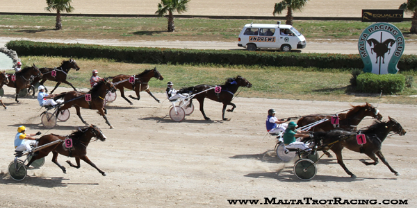 Race 5 confirmed result