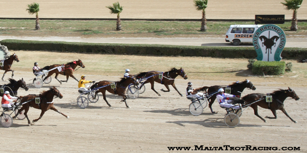 Race 7 confirmed result