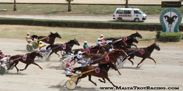 Race 5 confirmed result