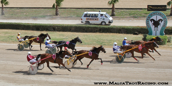 Race 5 confirmed result