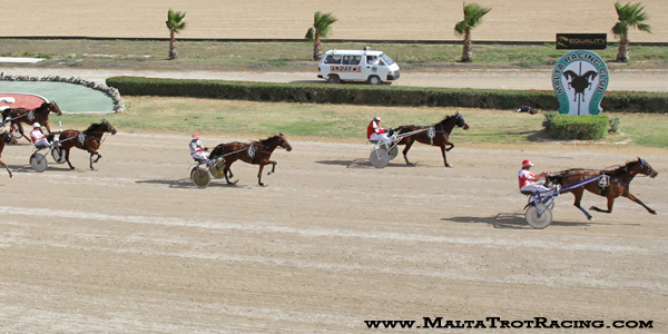 Race 7 confirmed result