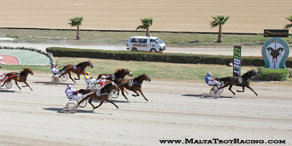 Race 7 confirmed result