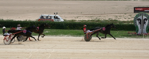Race 5 confirmed result