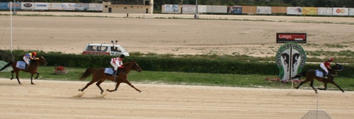 Race 6 confirmed result
