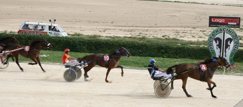 Race 8 confirmed result