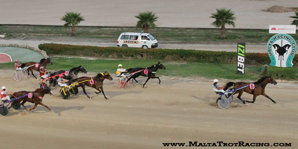 Race 5 confirmed result