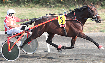 Race 6 confirmed result