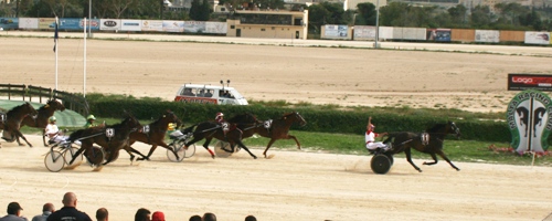 Race 7 confirmed result