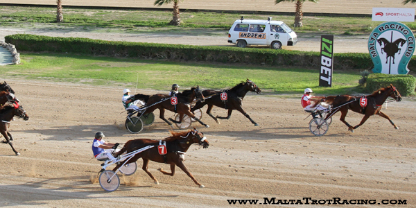 Race 8 confirmed result