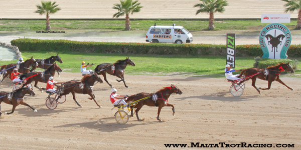 Race 7 confirmed result