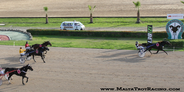 Race 5 confirmed result