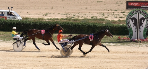 Race 5 confirmed result