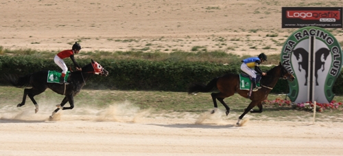 Race 7 confirmed result