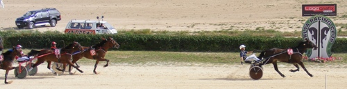 Race 8 confirmed result