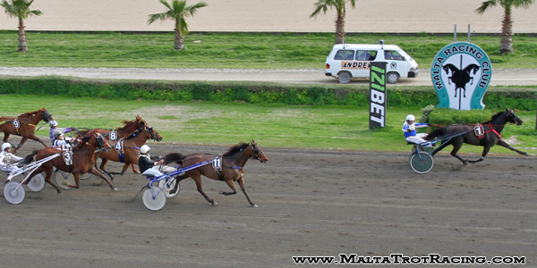 Race 7 confirmed result