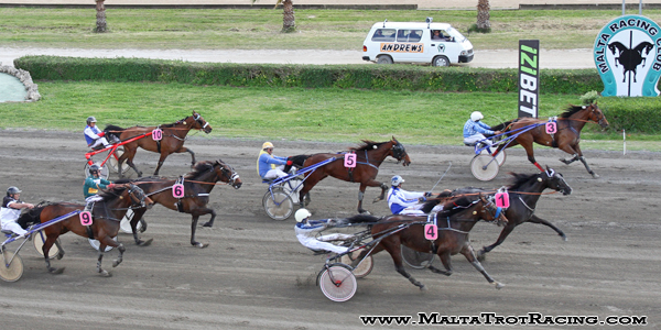 Race 5 confirmed result