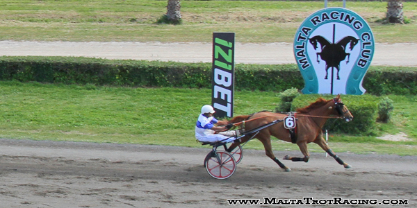 Race 7 confirmed result