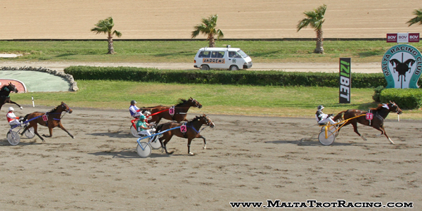 Race 5 confirmed result