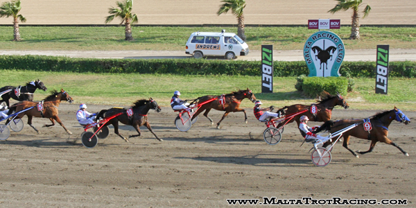 Race 8 confirmed result