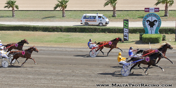 Race 5 confirmed result