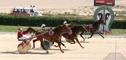 Race 5 confirmed result