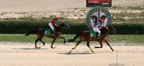 Race 6 confirmed result