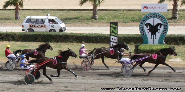 Race 5 confirmed result