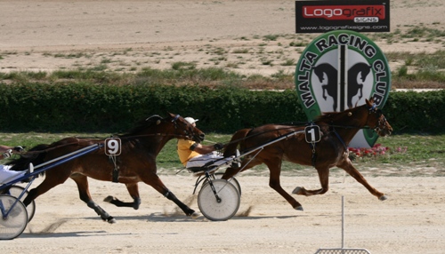 Race 7 confirmed result