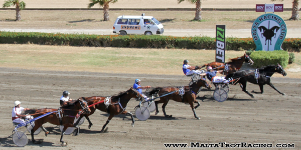 Race 7 confirmed result