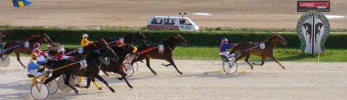 Race 4 confirmed result