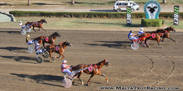 Race 5 confirmed result