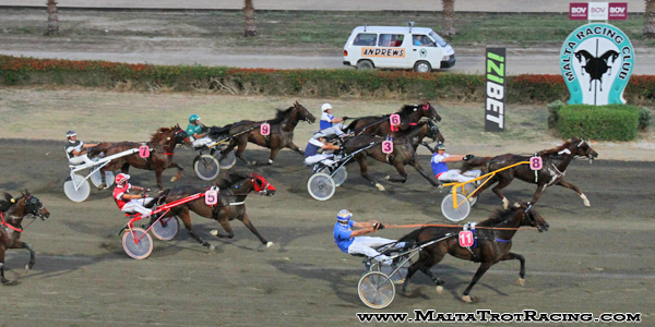 Race 5 confirmed result