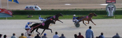 Race 5 confirmed result