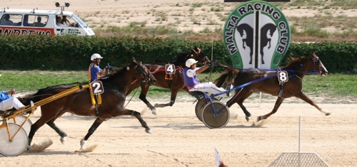 Race 7 confirmed result